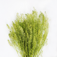 사  이  즈 : 전체길이 65cm
색       상 : 화이트, 연하늘, 연핑크, 초록
주문단위 : 1묶음(50g)