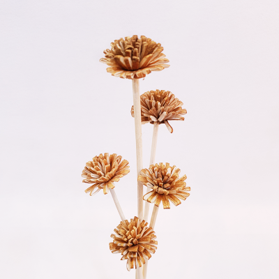 민들레(스틱타입) 이미지