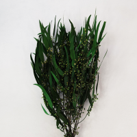 사  이  즈 : 약120g, 길이 약70cm
                 (열매 달려있습니다.)
색       상 : 그린
주문단위 : 1bunch