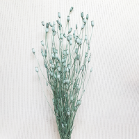 사  이  즈 : 약 50cm
주문단위 : 1Bunch(약30g)
