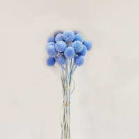 사  이  즈 : 길이 약40cm, 지름 1.5~2.5cm
색       상 :  파랑, 연그린, 연하늘, 그레이, 레드, 자주, 오렌지, 핑크, 옐로우, 베이지, 화이트
주문단위: 1Bunch(20EA)