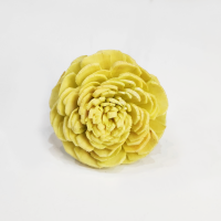 사  이  즈: 총 길이 약25cm, 지름 약4cm
용       도 : 프리저브드용, 디퓨져용
주문단위 : 1Bunch(10송이)