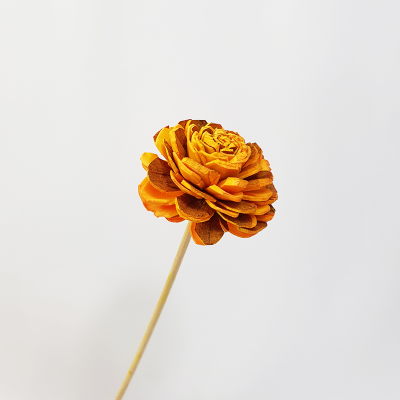 멀티국화(스틱) 이미지