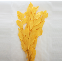 사  이  즈 : 약50cm
4줄기 모양과 크기는일정하지 않습니다.
주문단위 :  1Bunch(4줄기)