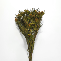 사  이  즈 : 약45cm (100g)
색       상 : 그린
주문단위 : 1단