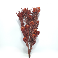 사  이  즈 : 전체길이 약45cm(100g)
색       상 : 레드
주문단위 : 1단