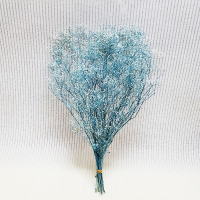 사  이  즈 : H 약50cm
색       상  : 화이트블루
주문단위 : 1Bunch((22g)
