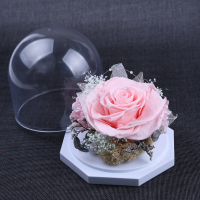 사이즈 40~50cm
주문단위 1Bunch
자연식물 그대로  특수가공처리하여
길이나 잎의 크기는 차이가 있습니다.