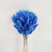 사  이  즈 : 길이 약50cm (꽃길이 약5~6cm) 
색       상 : 핑크, 퍼플, 블루, 오렌지, 진핑크, 연두색
주문단위 : 1bunch(120g 약150개)