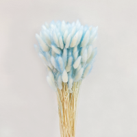 사  이  즈 : 라그라스길이 약5~7cm, 전체길이 60cm
색       상 : 연두&화이트, 연보라&화이트, 진보라&화이트, 연하늘&화이트
주문단위 : 1단(약150개, 100g)