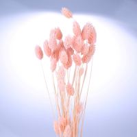 사이즈 약40cm
주문단위 1Bunch(15g)