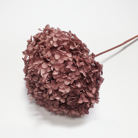 사  이  즈 : 길이 약50cm, 꽃머리길이 약13cm
자연그대로의 꽃을 특수가공처리하여 
꽃잎의 크기와 모양이 일정하지 않습니다.
분무하셔서 꽃 모양과 크기를 조절하십시요.
색       상 : 인디핑크
주문단위 : 1송이

