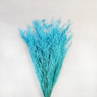 사  이  즈 : 전체길이 약70cm
색       상 : 연보라, 레드, 옐로우, 스카이블루, 오렌지
주문단위 : 1묶음(약160g)