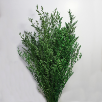 사  이  즈 : 약70cm
                 원단 약180g
                 작은단 약50g
색       상 : 그린
주문단위 : 1단