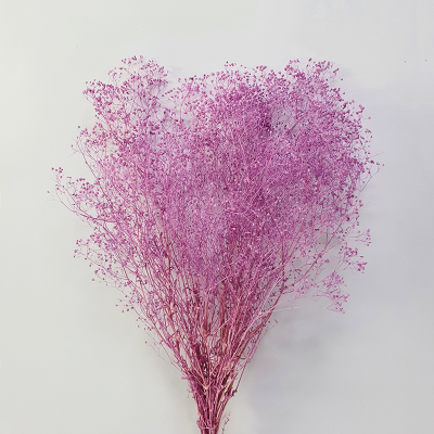 미니안개(퍼플) 이미지