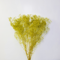 사  이  즈 : H 약50cm
색       상 : 블루
주문단위 :1Bunch((22g)