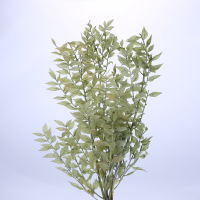 사이즈 약50cm
