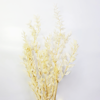 사  이  즈 : 약50cm (약40g)
색       상 : 화이트
주문단위 : 1Bunch