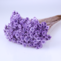 사이즈 약30cm
1Bunch (15g)
꽃이 가장 아름답게 피었을 때 
특수가공처리하여
제품의 크기와 모양이 
일정하지 않습니다.

