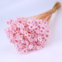사이즈 약30cm
1Bunch (15g)
꽃이 가장 아름답게 피었을 때 
특수가공처리하여
제품의 크기와 모양이 
일정하지 않습니다.
