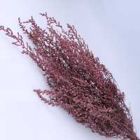 사이즈 40~50cm
주문단위 1Bunch
자연식물 그대로  특수가공하기에
사이즈가 균일치 않아 오차범의를 포함해 기재됩니다.