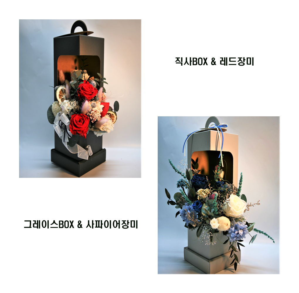Boxf0001-d7_1.png