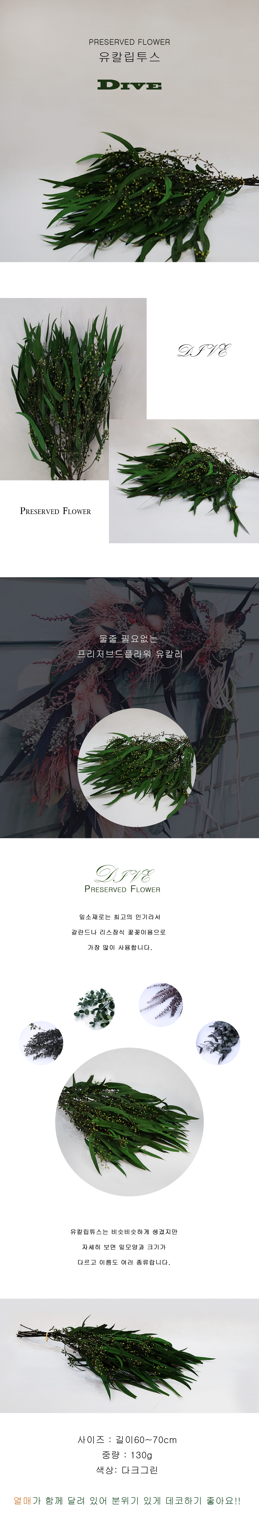 Diwe0001-d1.png