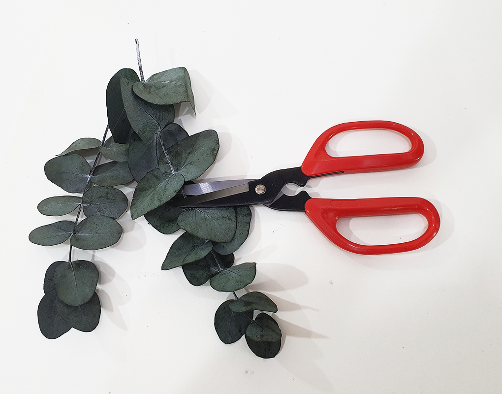 F.Scissors001-d2.png