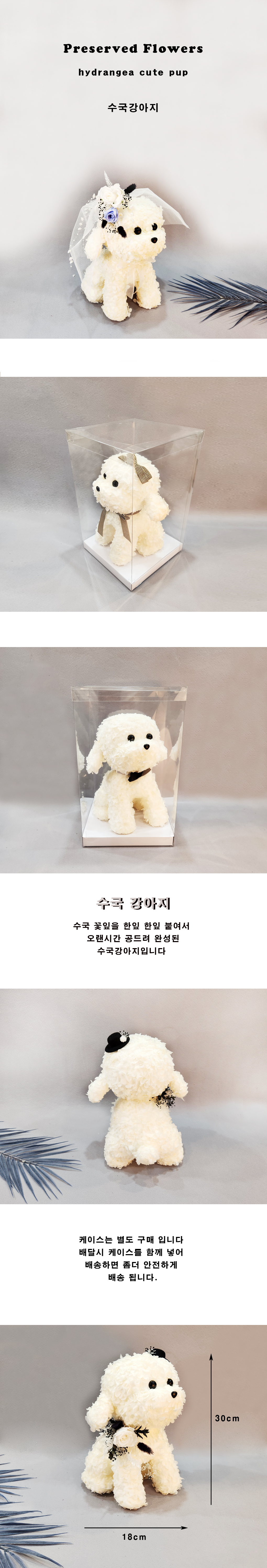 Puppy00001-d1.png