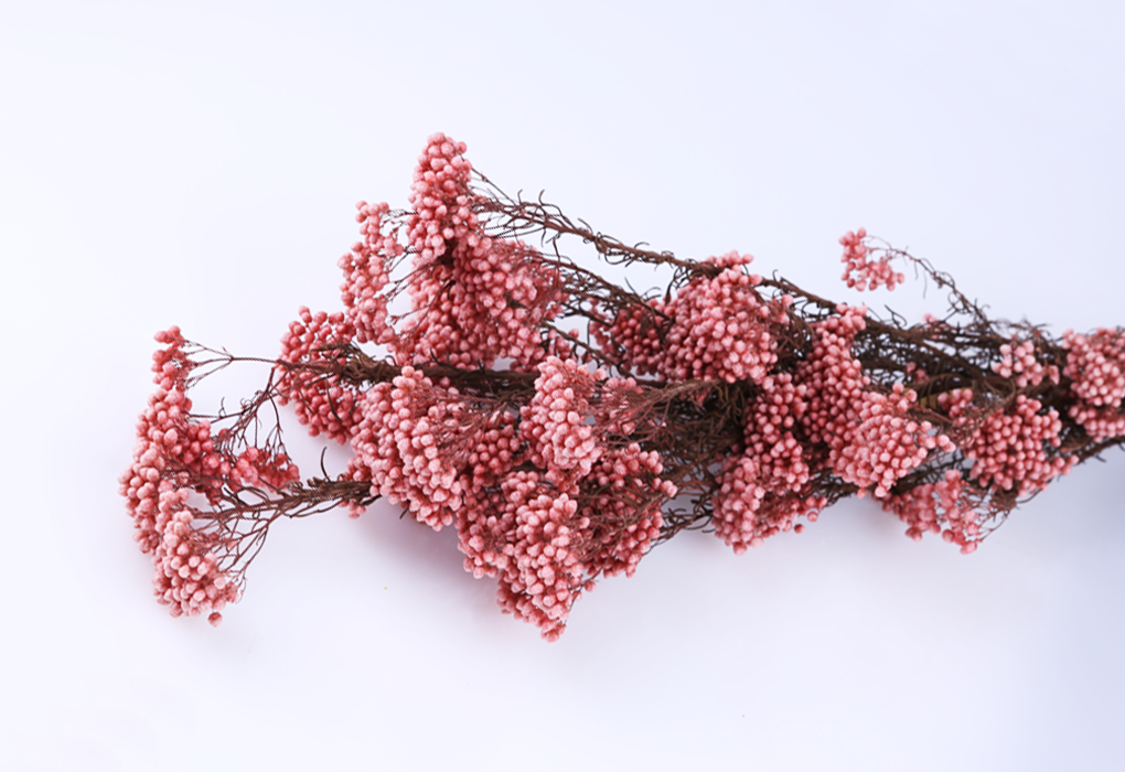 RiFlower0001-d2.png