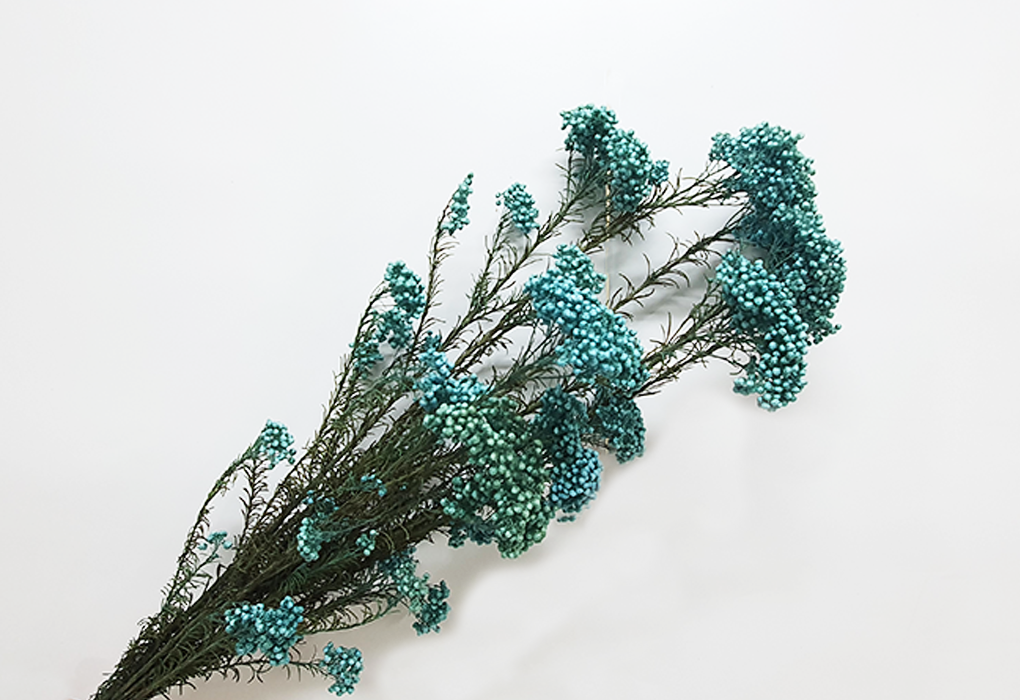 RiFlower0005-d1.png