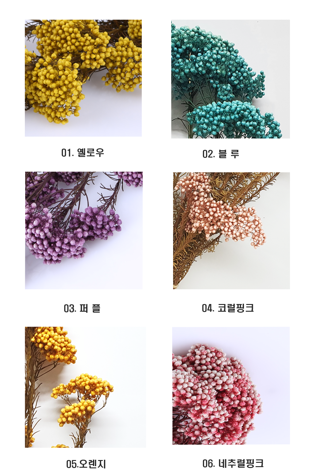 RiFlower0005-d2.png