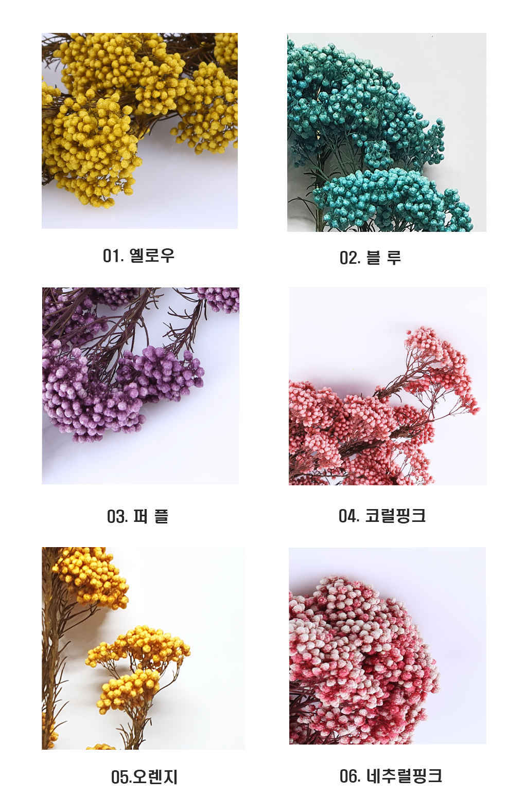 RiFlower0005-d3.png