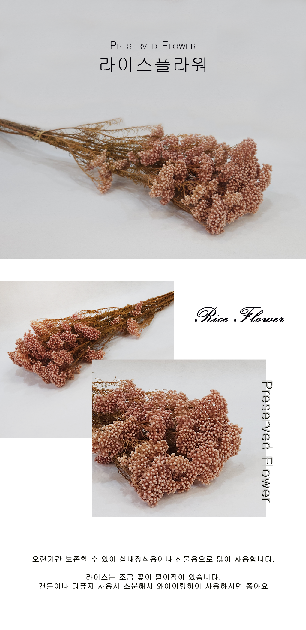 RiFlower0005-d4.png