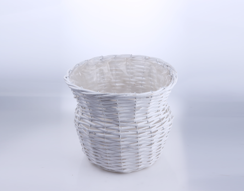 bBi0002-d8.png