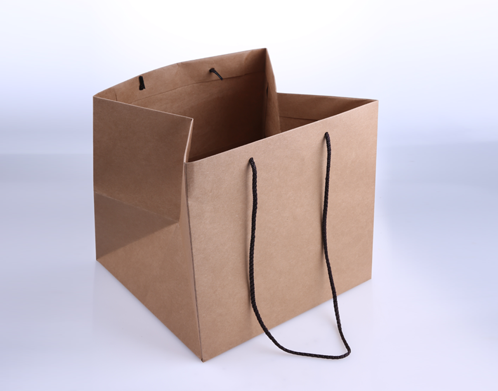 bag0001-d1.png