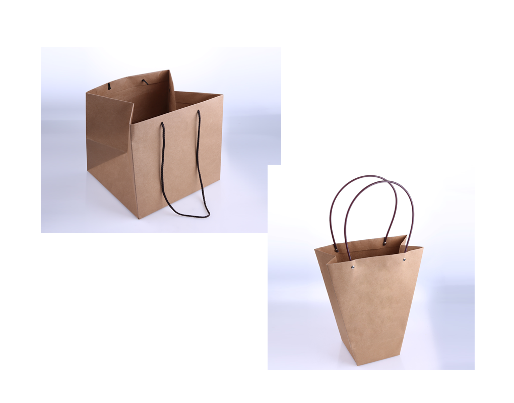 bag0001-d2.png