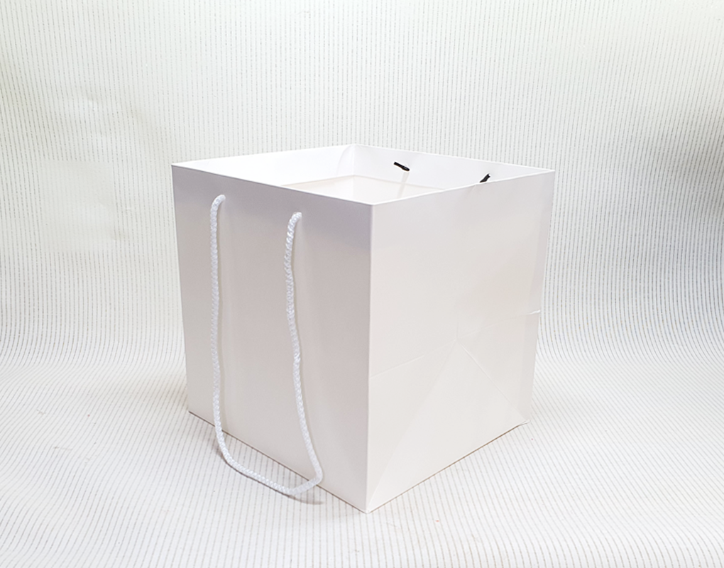 bag0002-D2.png