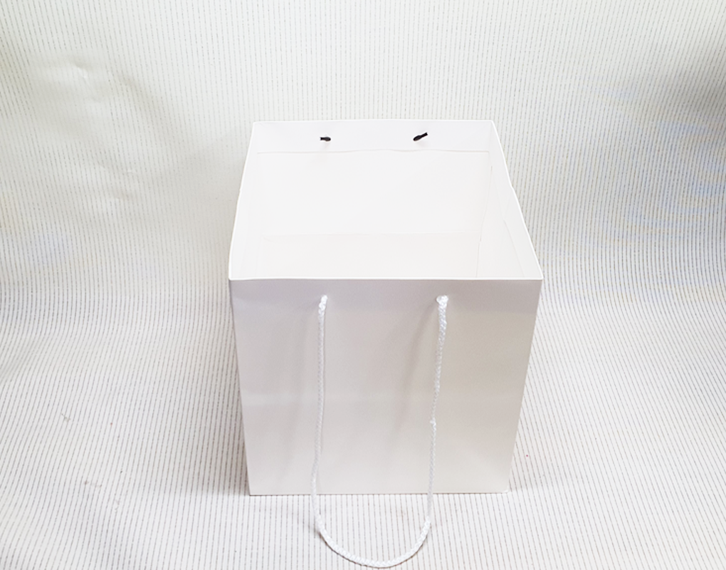 bag0002-D3.png