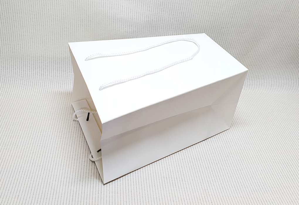 bag0003-d4.png