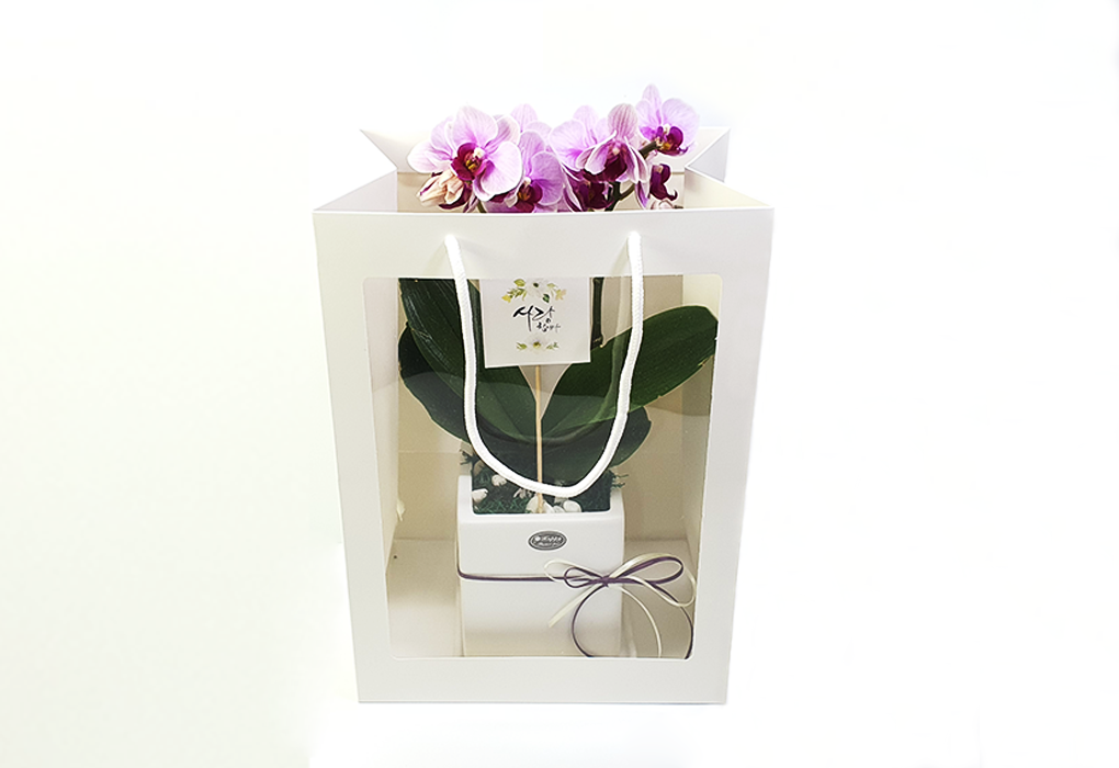 bag0004-d1.png