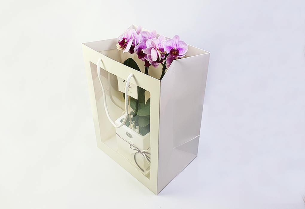 bag0004-d2.png