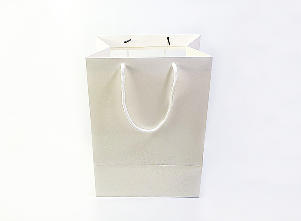 bag0004-d5.png