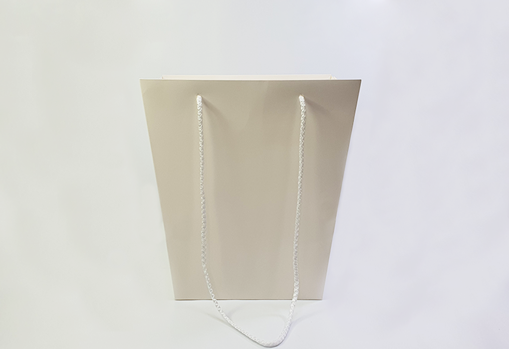 bag0005-d2.png