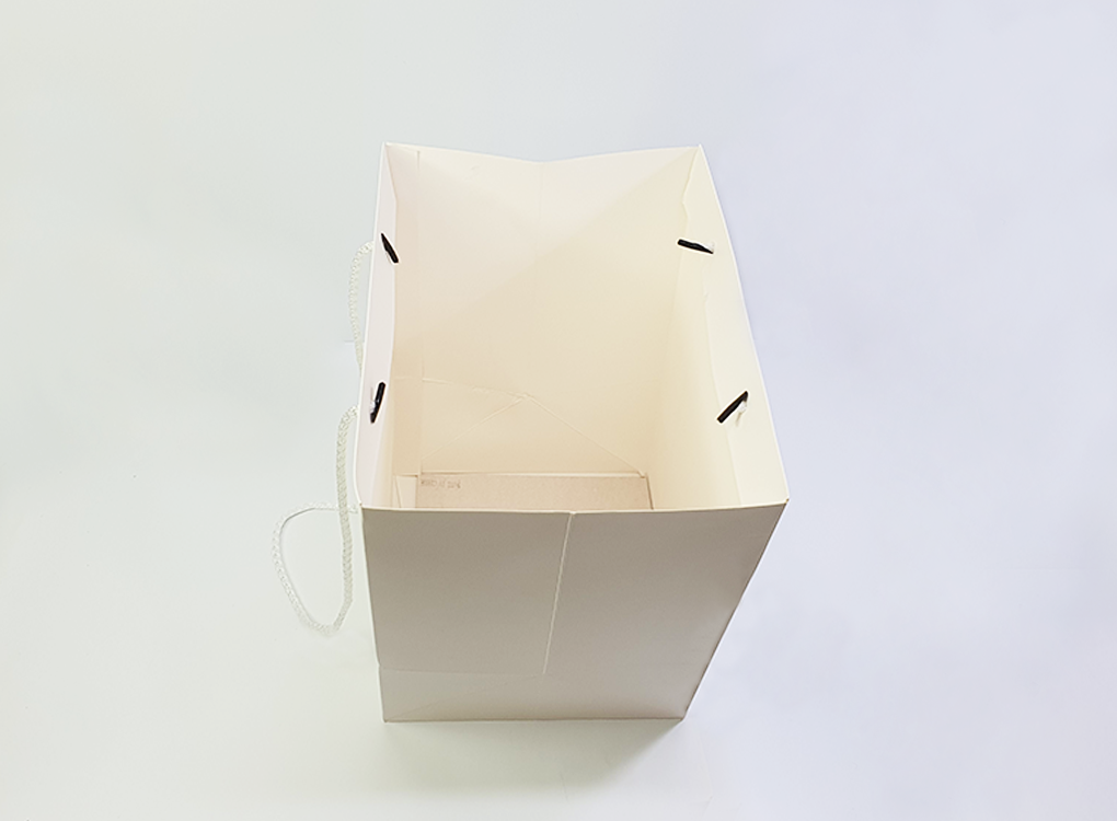 bag0005-d3.png