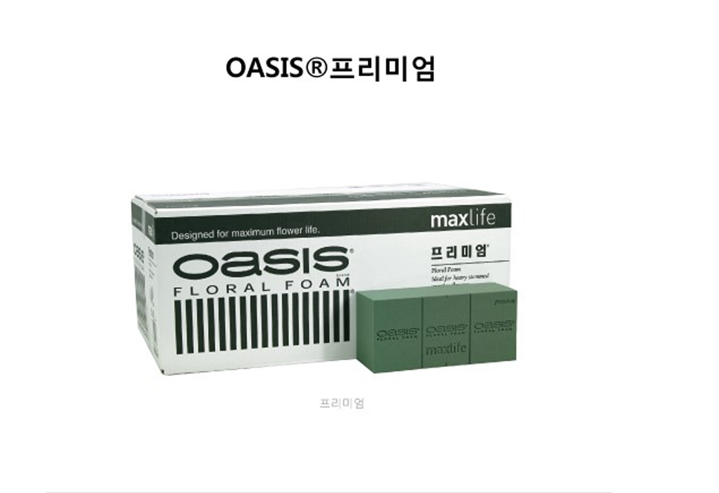 dFl0001-d10.png