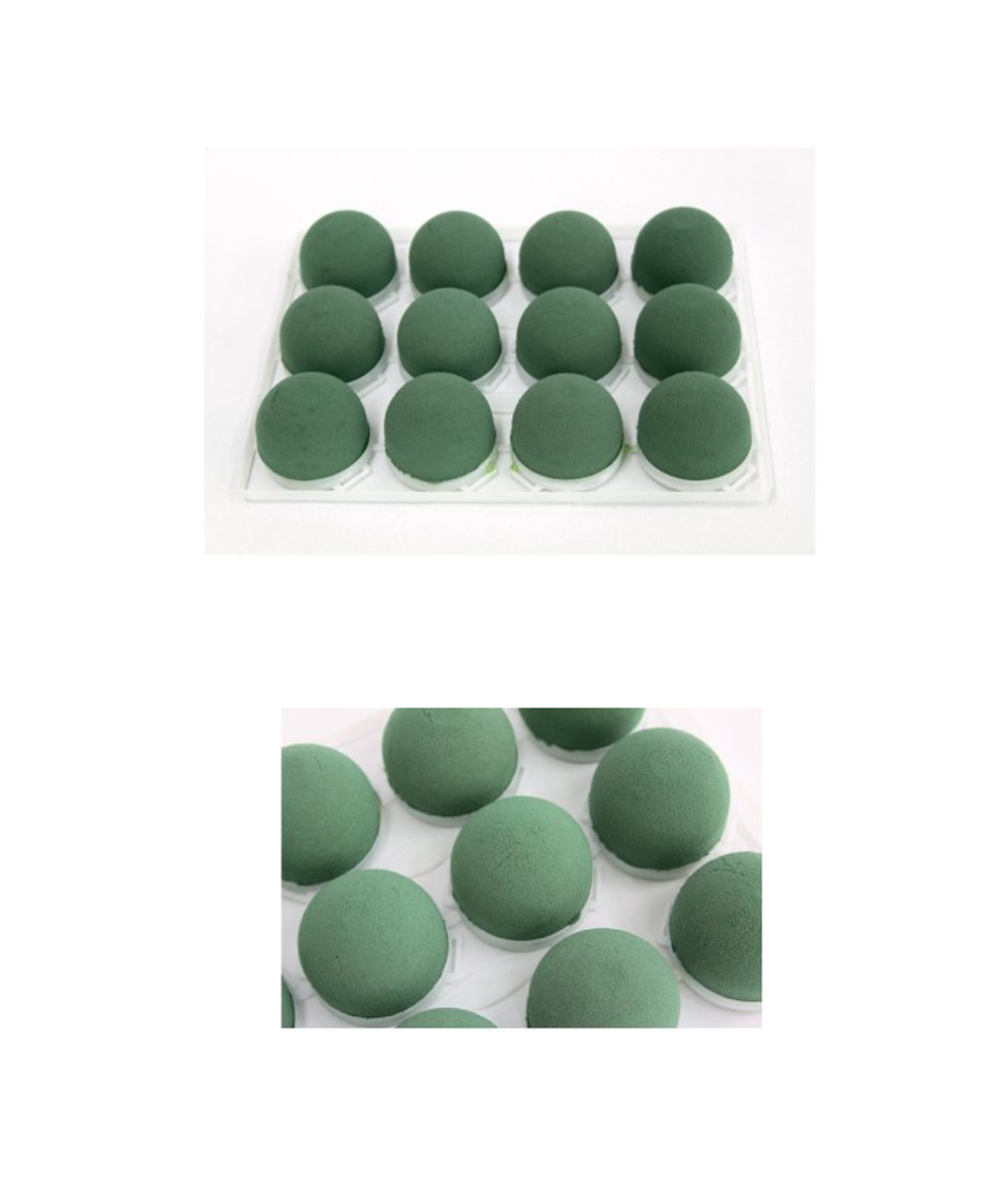 dFl0001-d15.png