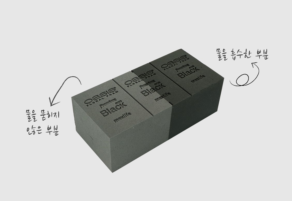 dFl0001-d19.png