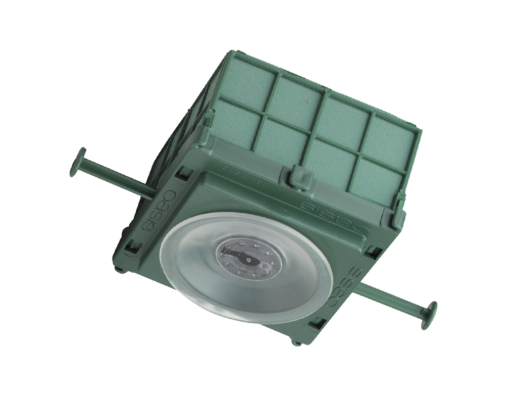 dFl0001-d7.png