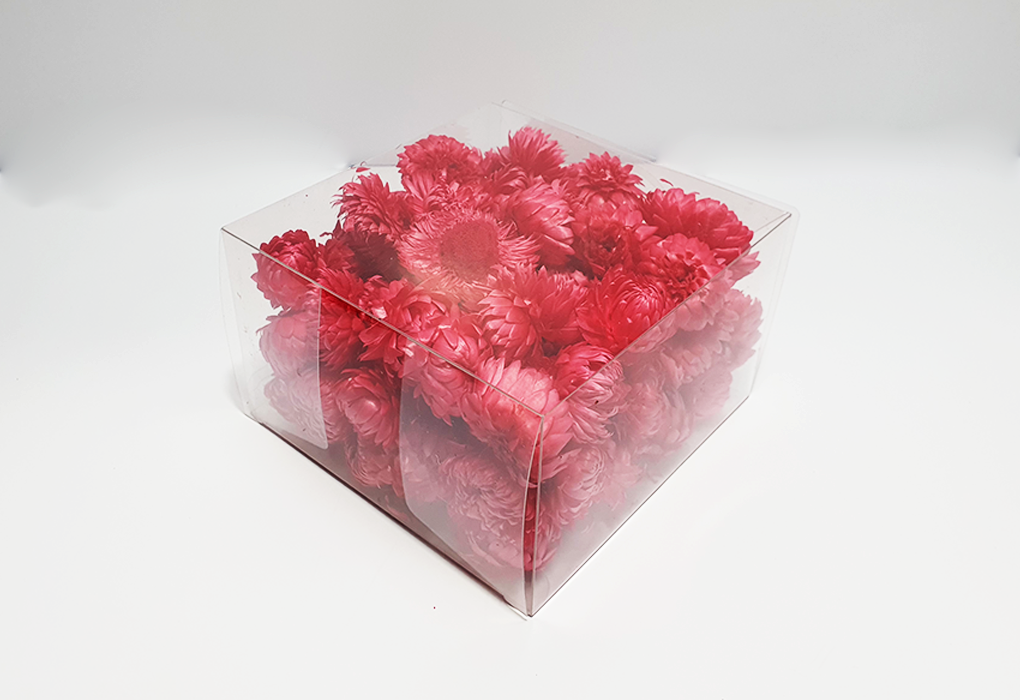 helicrysum002-d1.png